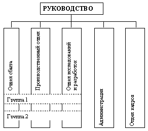 Функциональная организация с продуктовыми группами