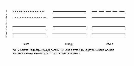 О некоторых стратегических ошибках в современном креационном мышлении